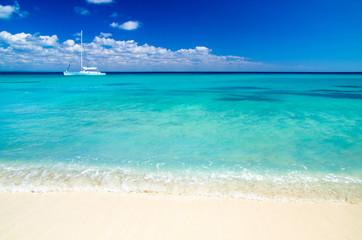 tropical sea