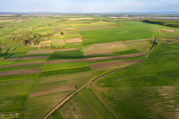 Aerial view of a green rural area under blue sky. Ukraine