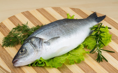 Raw seabass