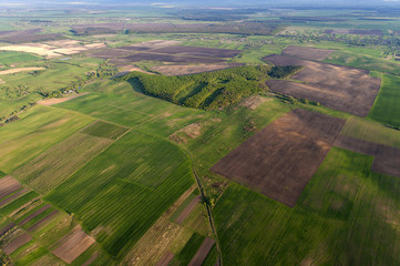 Aerial photography of green fields in Ukraine countryside