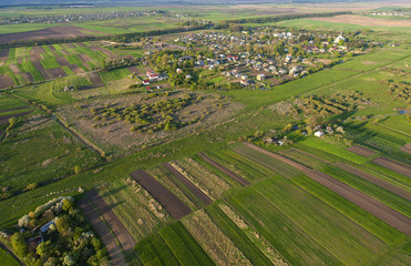 Fototapeta na wymiar Aerial view of the large green field in spring season