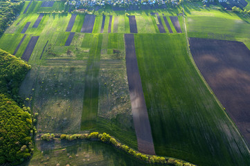 Green fields at springtime