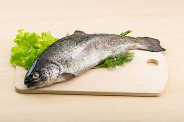 Raw fresh trout