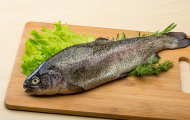 Raw fresh trout