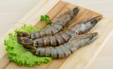 Raw tiger shrimps