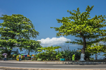 Obraz premium sky and trees