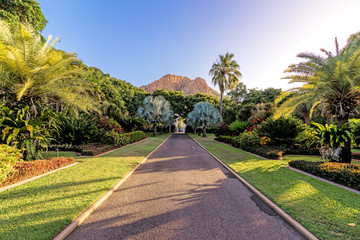 Obraz premium Tropical garden at sunset
