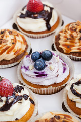 Set of different  cupcakes in a  box