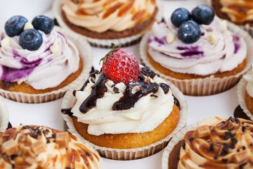Set of different  cupcakes in a  box