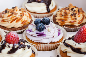 Set of different  cupcakes in a  box