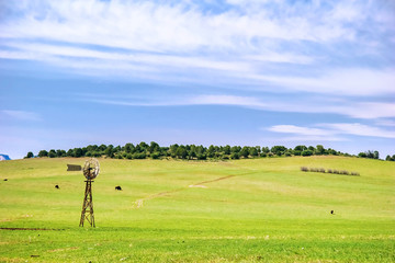 Scenic green agricultural field