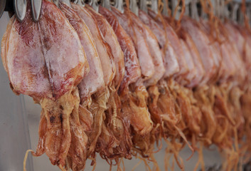 Stock Photo - Close up dried squid hanging in row waiting for cu