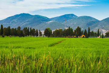 Campi prati colline, Paesaggio di campagna Toscana, agricoltura
