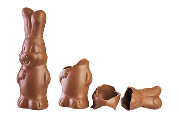easter chocolate bunny