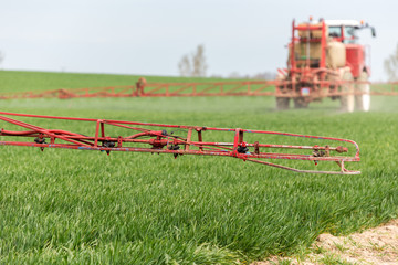 Fototapeta premium Spraying the herbicides on the green field
