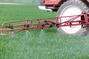 Spraying the herbicides on the green field