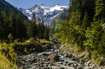 River in Mountain