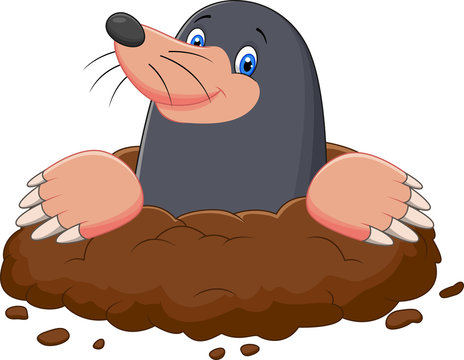 Mole Cartoon Images &#8211; Browse 6,189 Stock Photos, Vectors, and ...
