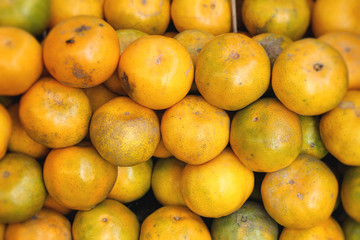 orange fruits in the market