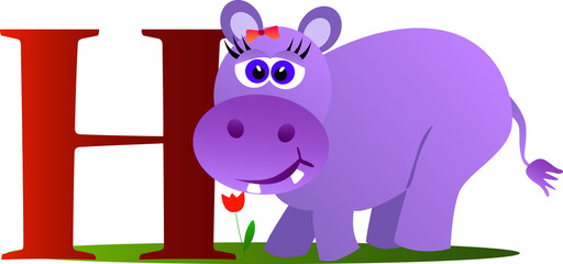 Cute hippopotamus with alphabet letter H on white background.