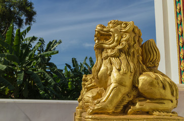 Fototapeta na wymiar gold lion statue under sunlight with tree and sky background