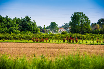 Fattoria, azienda agricola, Paesaggio di campagna Toscana