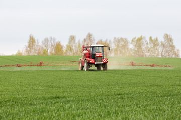Spraying the herbicides on the green field