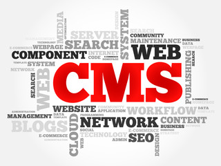 CMS Content Management System word cloud, business concept