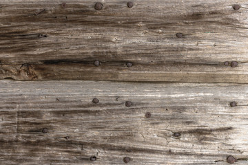Fototapeta premium Background wood