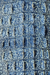 Fototapeta premium Crocodile skin texture