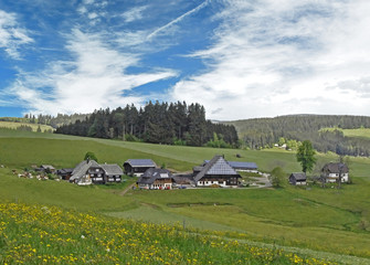 Fruehling im Schwarzwald mit Sicht auf Bauernhof