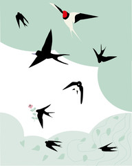 Swallow
This is the design of the 