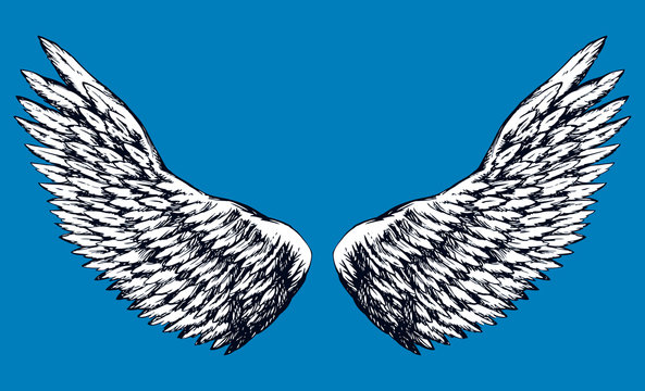 Outstretched wings. Vector drawing