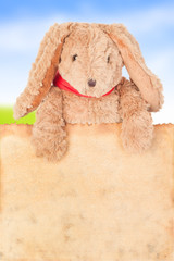 Rabbit, holding old grunge canvas fabric burn edge for happy eas