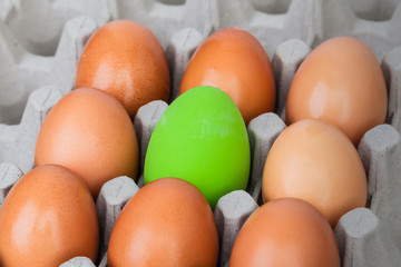 green color eggs on crate for holiday easter festival, can use a
