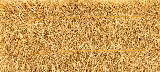 pile of straw background