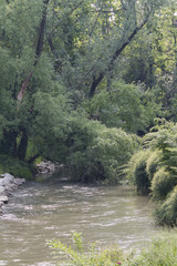 river landscape