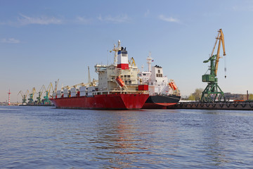 Naklejka premium Ship the refrigerator prepares for mooring in the port