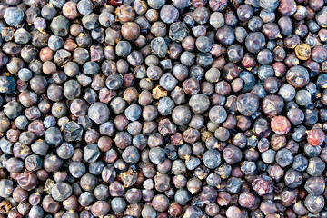 Juniper texture
