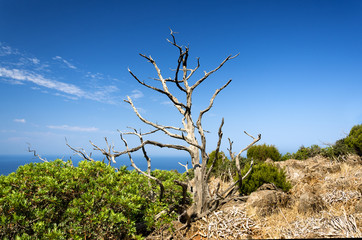 Sardegna , costa del Sulcis