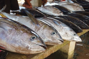 Poisson au march&eacute;