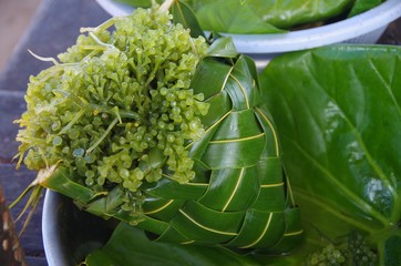 Algues au march&eacute;