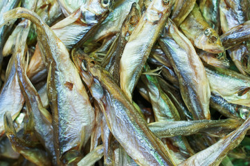 Stockfish