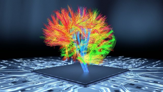 Revealing the connectome of the human brain.
