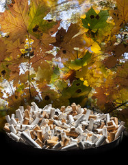 Smoking like disease - stop smoking!
