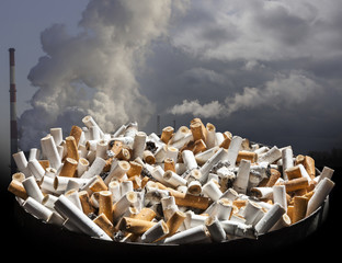 Cigarette smoke damages lungs - stop smoking!
