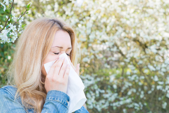Allergie, Frau, Frühling, Taschentuch
