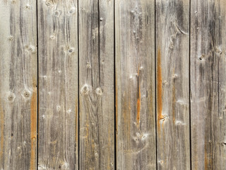 Fototapeta premium Holz