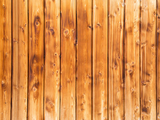 Fototapeta premium Holz