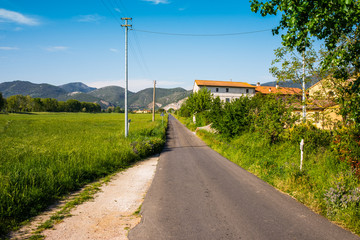 Fototapeta na wymiar Strada di campagna, prati colline, Paesaggio Toscana